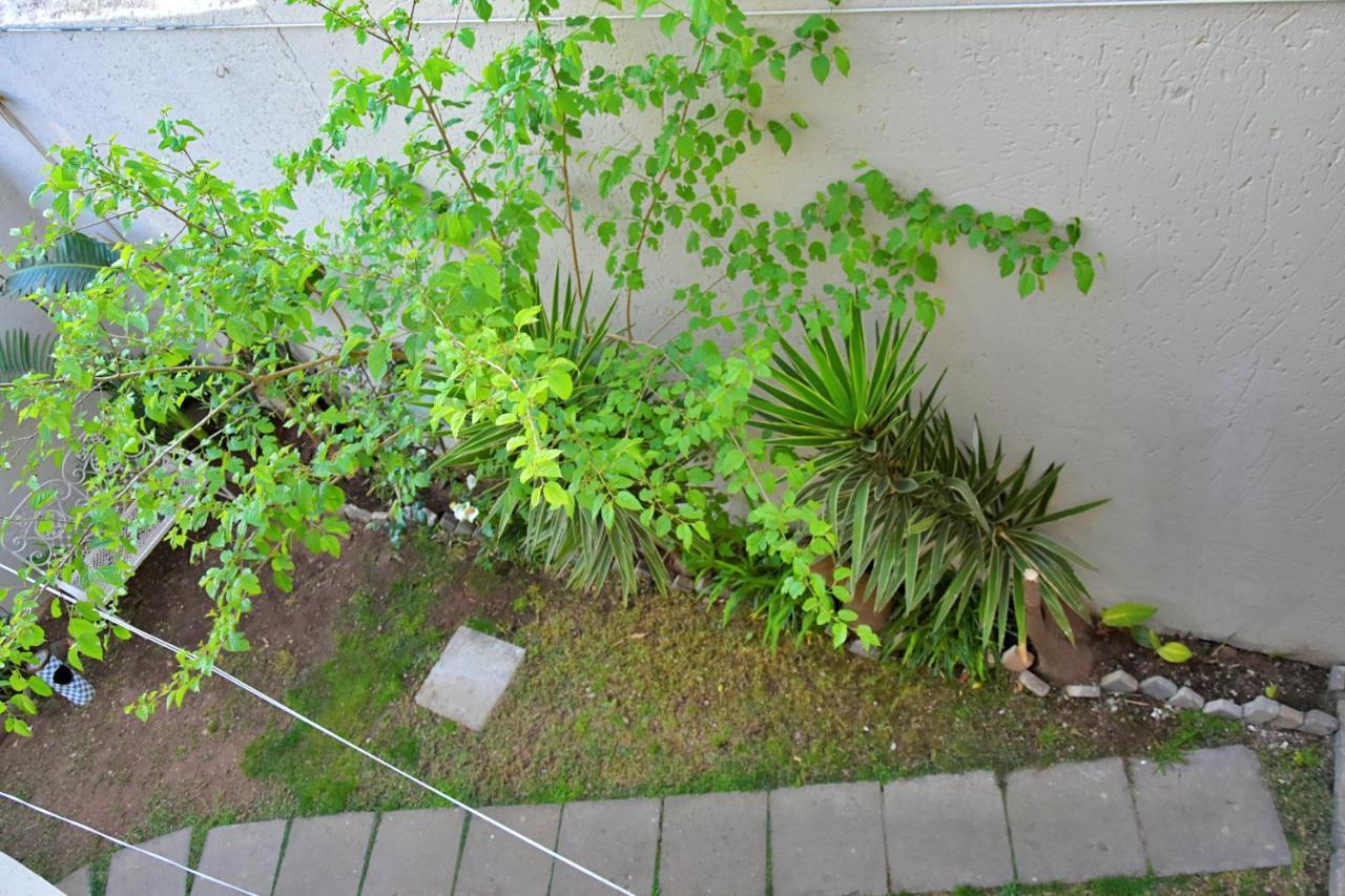 Houghton Guest House Johannesburg Luaran gambar